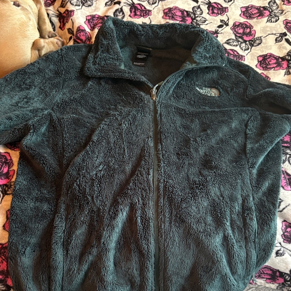 The North Face Women's forest green Teddy Jacket